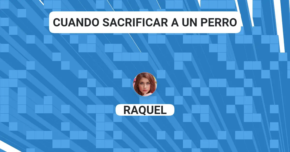 Cuando sacrificar a un perro PulposReversibles Cuando sacrificar a un perro PulposReversibles