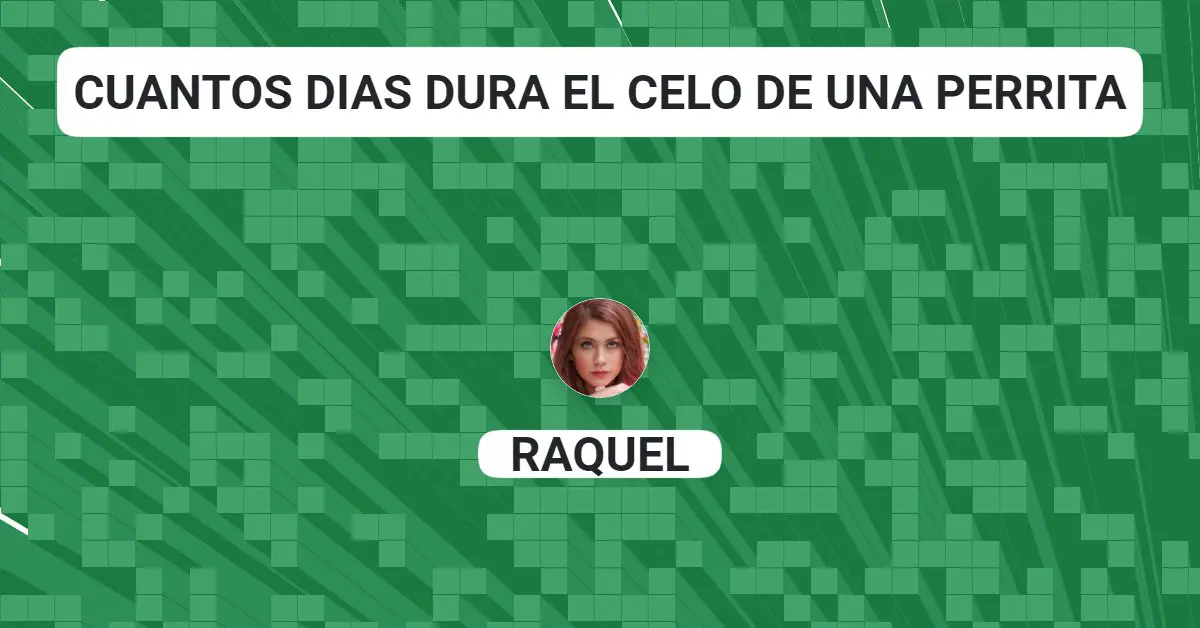 Cuantos dias dura el celo de una perrita PulposReversibles Cuantos dias dura el celo de una perrita PulposReversibles