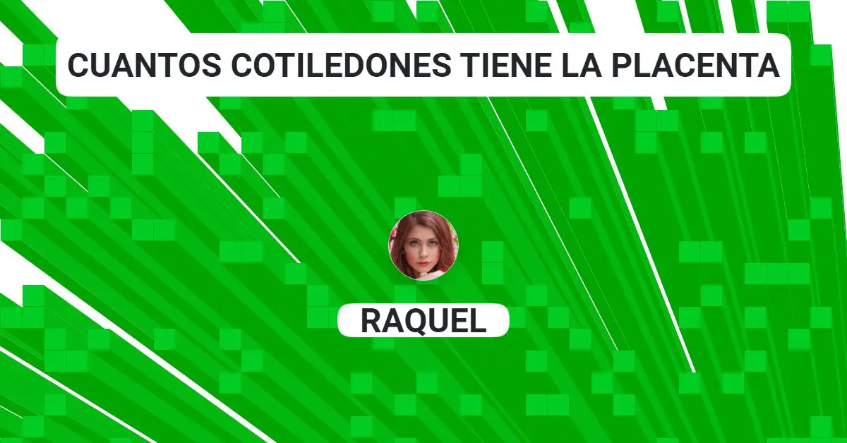 Cuantos cotiledones tiene la placenta PulposReversibles